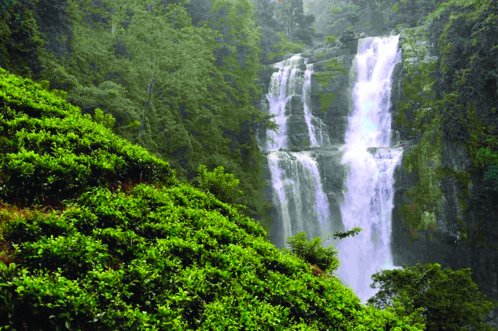 कुंचिकल जलप्रपात, Kunchikal Falls, 183 मीटर नीचे गिरती जलधारा ,183 meters falling stream,kunchikal falls,kunchikal falls video,jog falls vs kunchikal,kunchikal falls shimoga,kunchikal waterfall in india,kunchikal jalprapat,kunchikal water falls,jog falls,kunchikal waterfalls,barkana falls,karnataka falls 2019,karnataka falls video,kunchikal waterfall,kunchikal water falls visit,kunchikal,