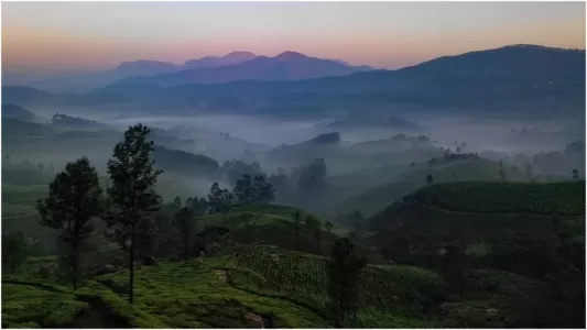 #Wayanad, Untouched beauty from the land of Maya to the 'land of paddy fields',#वायनाड, अनछुआ सौन्दर्य,